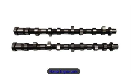 Spare Parts Camshaft for Mazda Na E5 He01