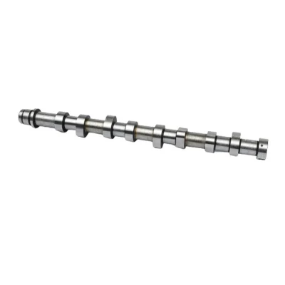 Milexuan Auto Engine Parts Camshaft Engine 2s6q6250ad Camshaft for Ford